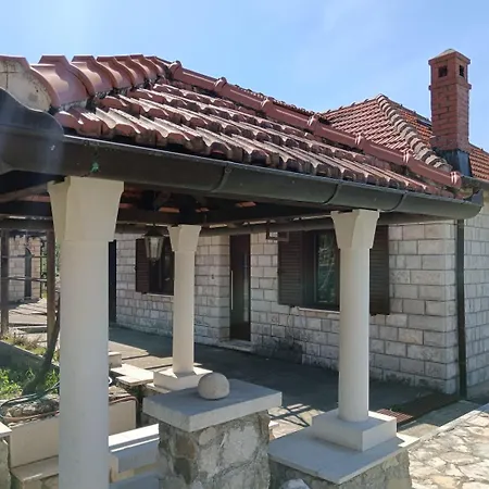 Lazustina Paradise & The Mermaid Mihanici