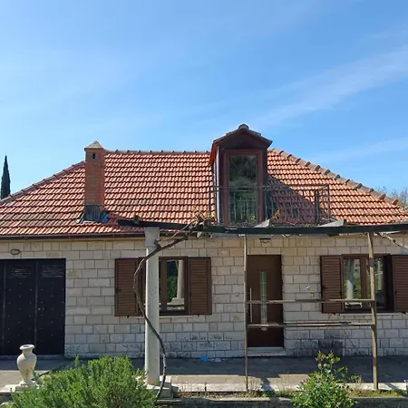 Lazustina Paradise & The Mermaid