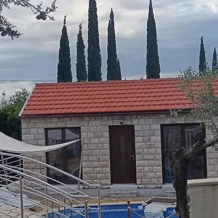 Lazustina Paradise & The Mermaid *