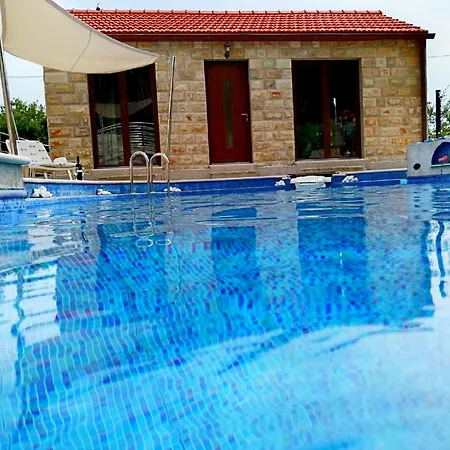 Lazustina Paradise & The Mermaid *