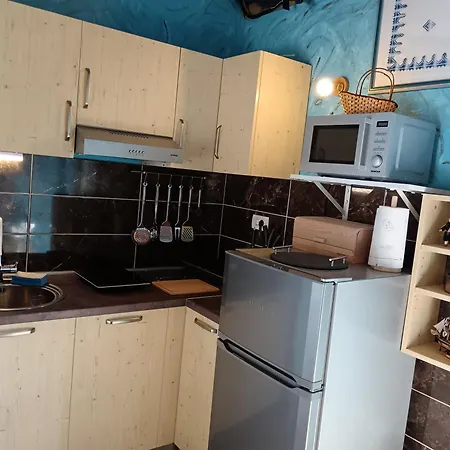 Lazustina Paradise & The Mermaid