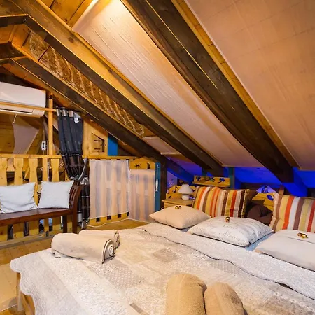 Lazustina Paradise & The Mermaid Tatil Evi