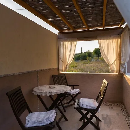 Lazustina Paradise & The Mermaid