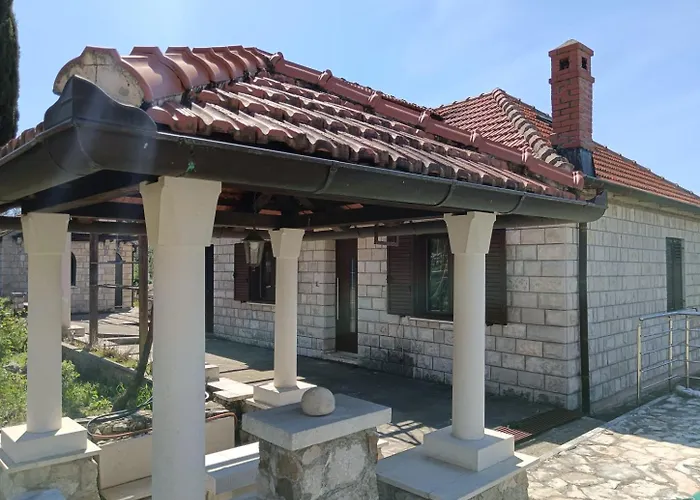 Lazustina Paradise & The Mermaid Mihanici