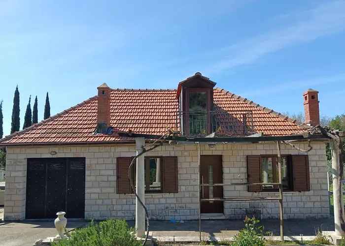 Lazustina Paradise & The Mermaid